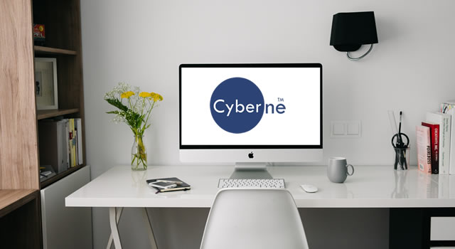 Cyberone Consulting